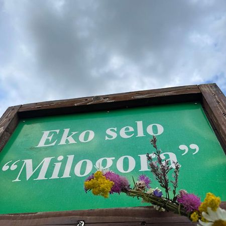 Etno Selo - Guest House Etno Village - Trsa ปลูชิเน ภายนอก รูปภาพ
